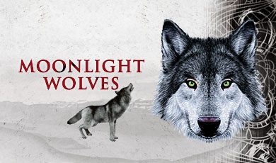 Moonlight Wovles Cover Moonlight Wovles