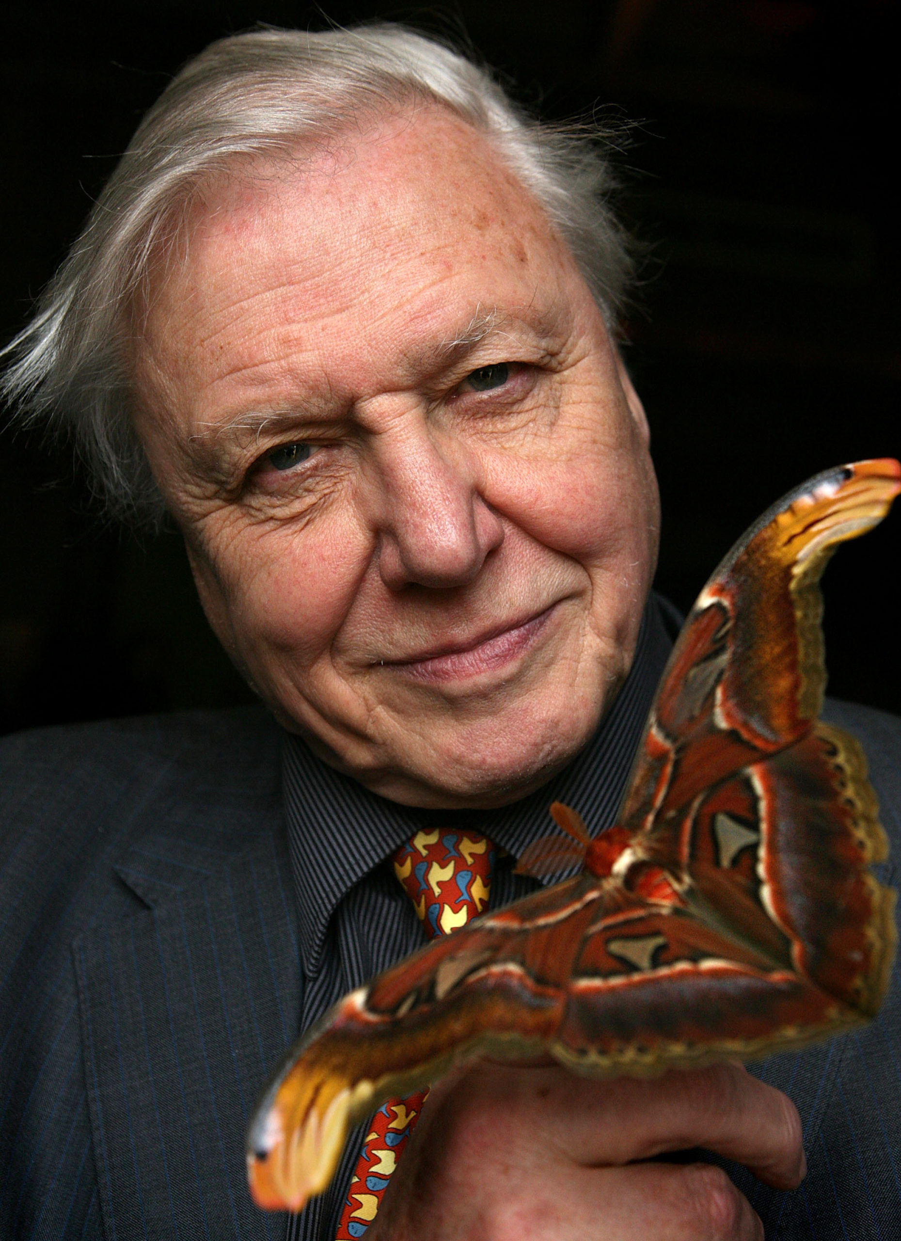 Autorenfoto David Attenborough