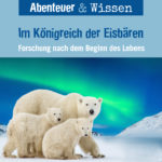 Abenteuer & Wissen: Im Königreich der Eisbären – Forschung nach dem Beginn des Lebens, Hörbuch Wissen für Kinder und Erwachsene Cover Abenteuer & Wissen: Im Königreich der Eisbären - Hörbuch Wissen für Kinder und Erwachsene