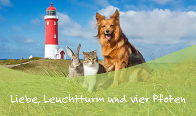 Teaser_Leuchtturm_Reihe2-aspect-ratio-390-230