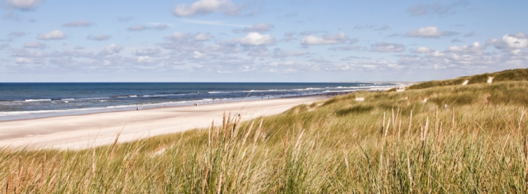 stage-baltrum-aspect-ratio-1440-360