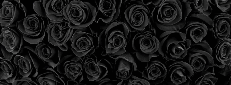 Shunned-aspect-ratio-1440-530