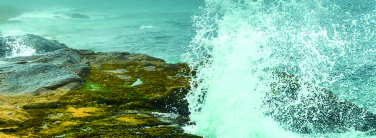 seaside-kisses_2_lang-aspect-ratio-1440-360